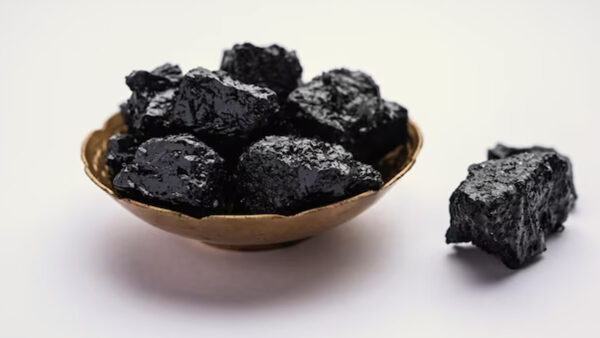 Pure Himalayan Shilajit – 100% Natural & Authentic (50gms) - Image 2