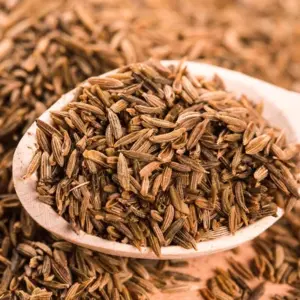 Cumin Seeds – Earthy Aroma 500g