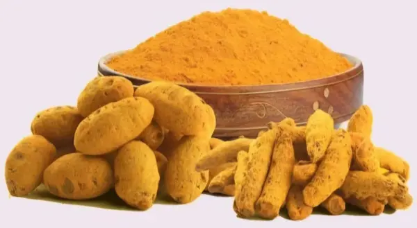 Turmeric Powder – Golden Wellness 500g - Image 2