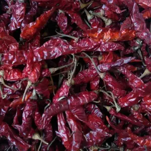 Red Chilies – Fiery Heat for Authentic Flavor 500 gm