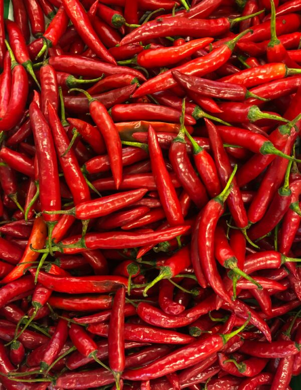 Red Chilies – Fiery Heat for Authentic Flavor 500 gm - Image 4
