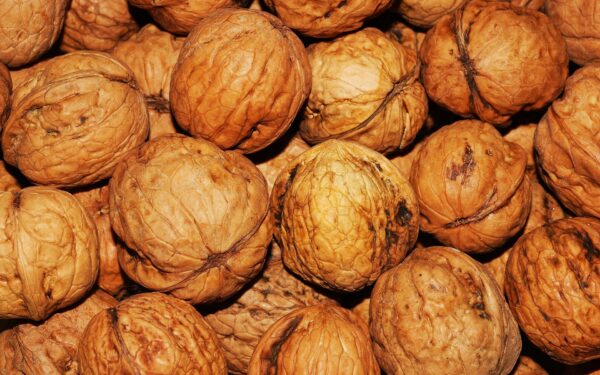 Organic Kashmiri Walnuts – 500g - Image 4