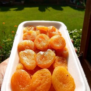 Premium Dried Apricots - Vitamin A Rich Orange Superfruit