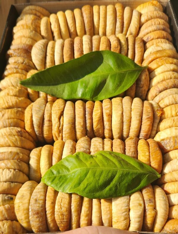 Premium Turkish Figs (Anjeer) - Calcium-Rich Mediterranean Superfood