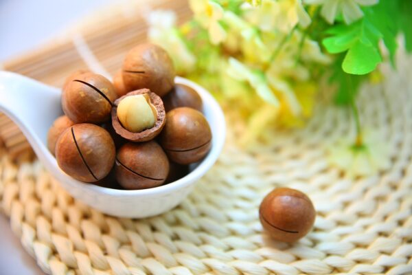 Premium Brazil Nuts - Selenium-Rich Thyroid Support Superfood